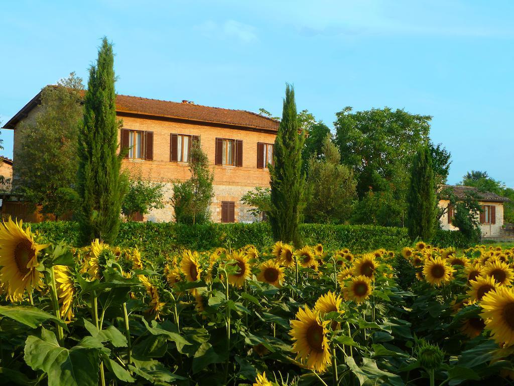Agriturismo Santa Giuditta Sovicille Exteriér fotografie